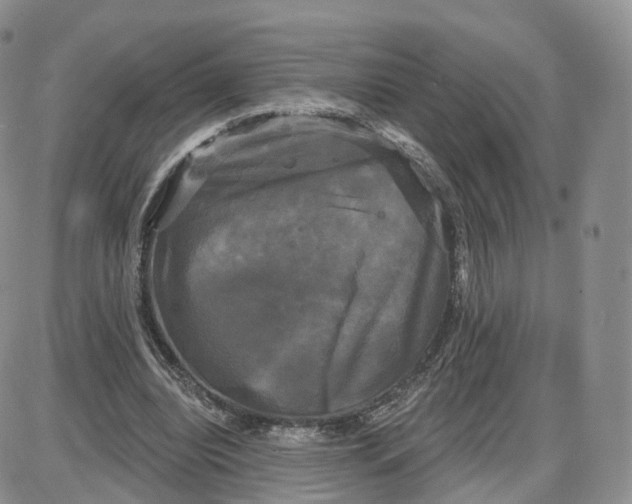 X0000087630440200705241219