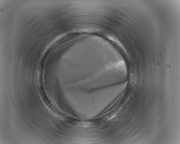 X0000087630444200705241219