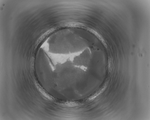 X0000087630445200705241219