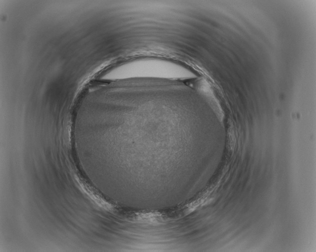 X0000087630446200705241219