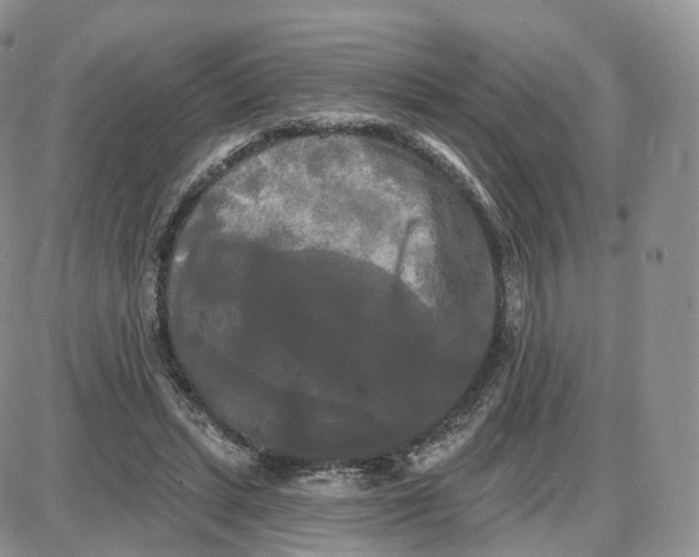 X0000087630447200705241219