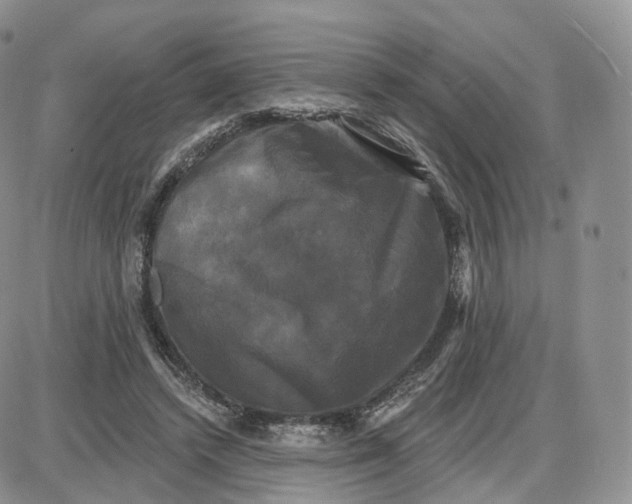 X0000087630448200705241219