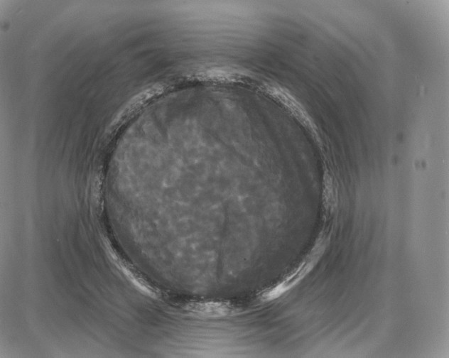 X0000087630449200705241219