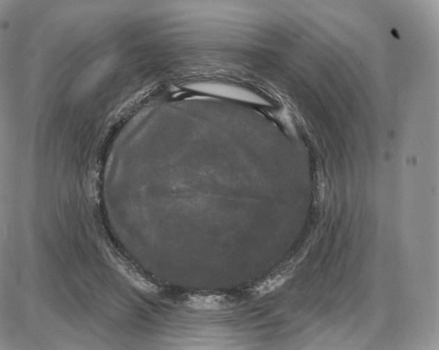 X0000087630450200705241219