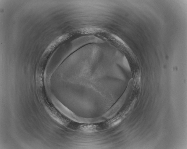 X0000087630452200705241219