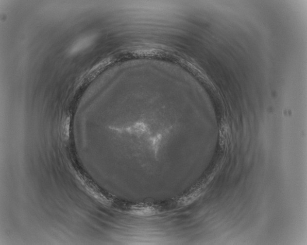 X0000087630454200705241219