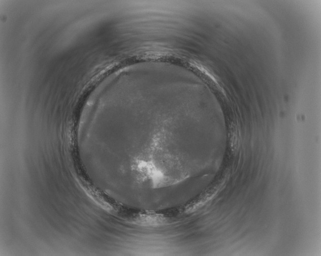 X0000087630455200705241219