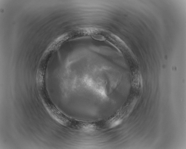 X0000087630456200705241219