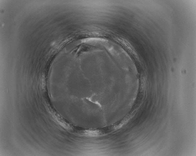 X0000087630457200705241219