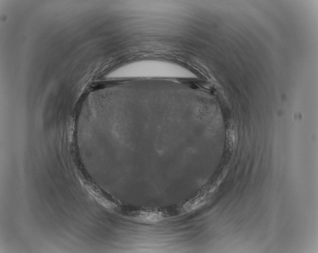 X0000087630458200705241219