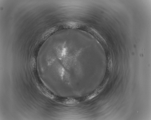 X0000087630459200705241219