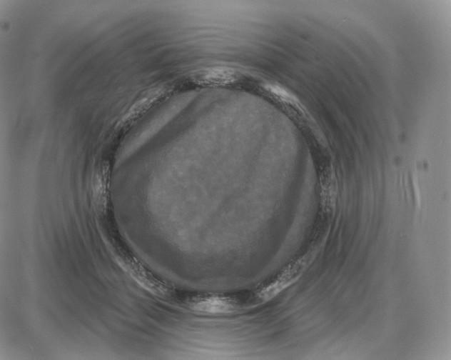 X0000087630460200705241219