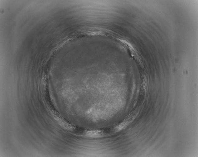 X0000087630461200705241219