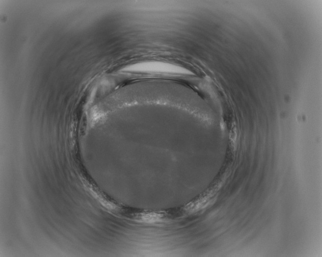 X0000087630462200705241219