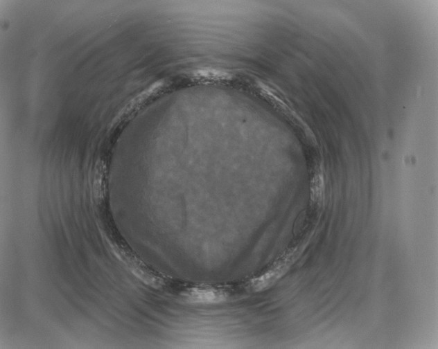 X0000087630464200705241219