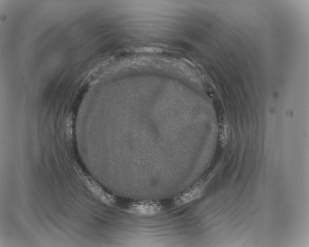 X0000087630466200705241219