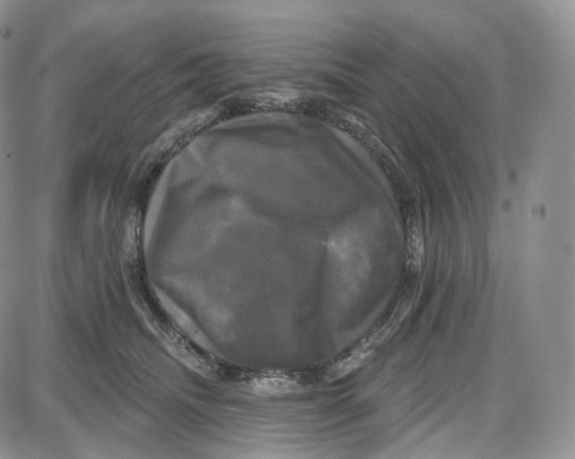 X0000087630468200705241219