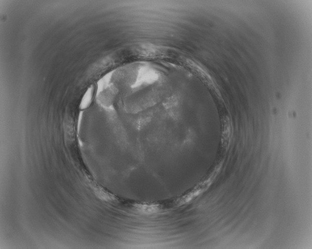 X0000087630469200705241219