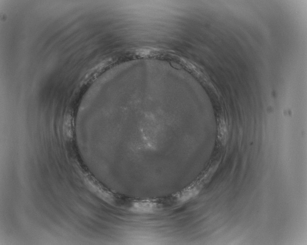 X0000087630470200705241219