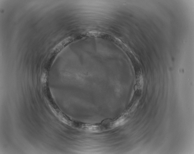 X0000087630472200705241219