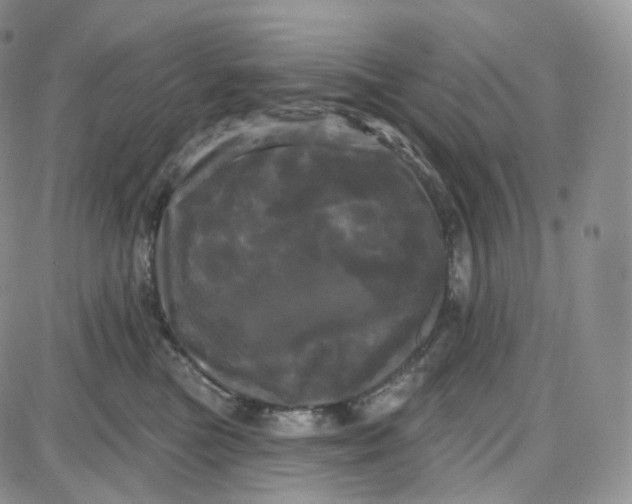 X0000087630473200705241219