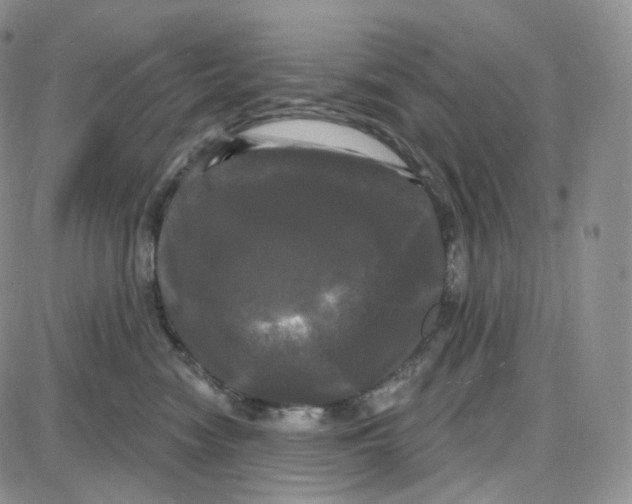 X0000087630474200705241219