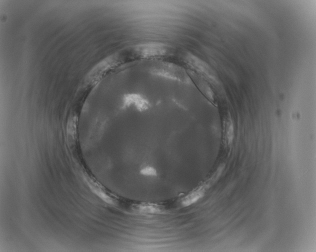 X0000087630475200705241219