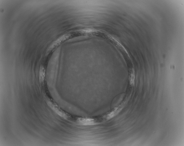 X0000087630476200705241219