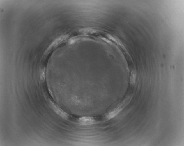 X0000087630477200705241219