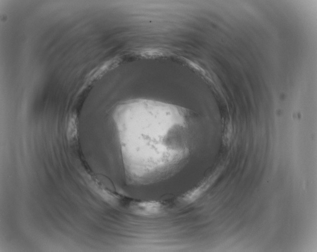 X0000087630478200705241219