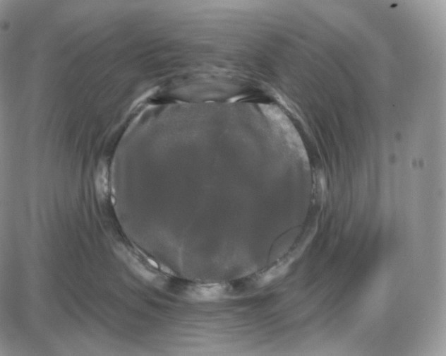 X0000087630479200705241219