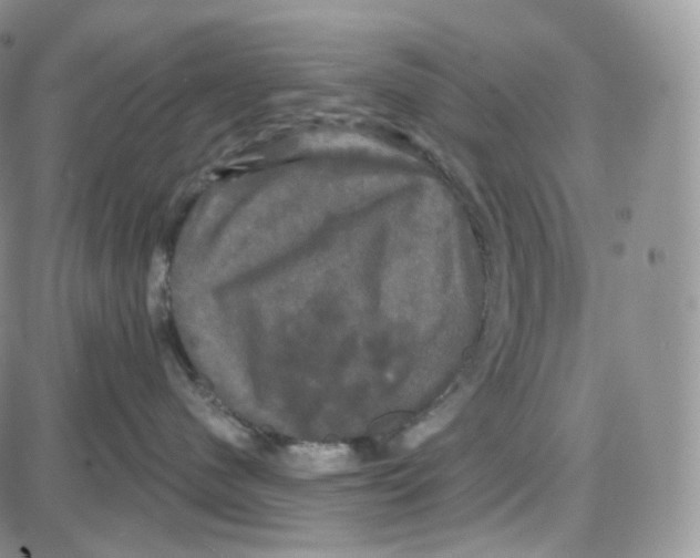 X0000087630480200705241219