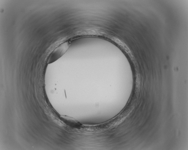 X0000087630481200705241219