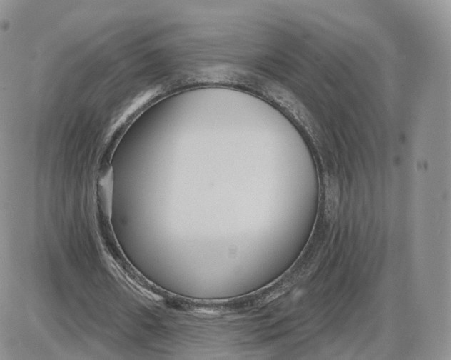 X0000087630482200705241219