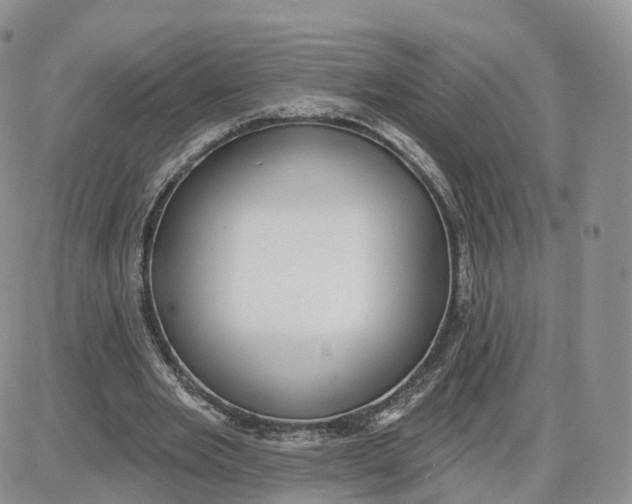 X0000087630485200705241218