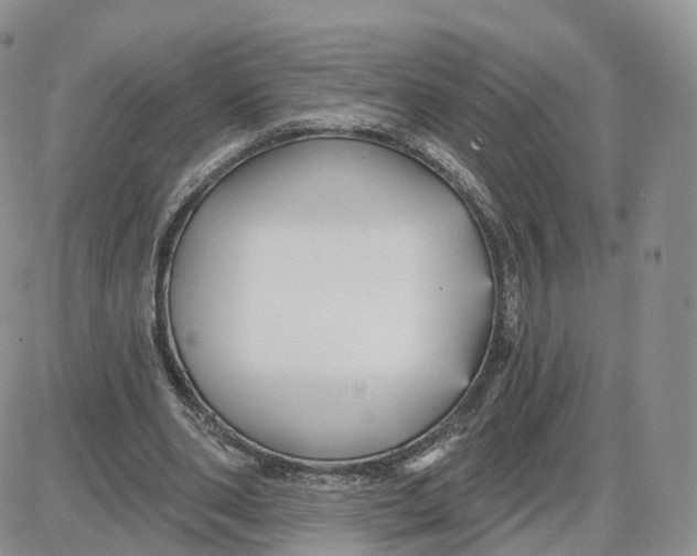 X0000087630486200705241218