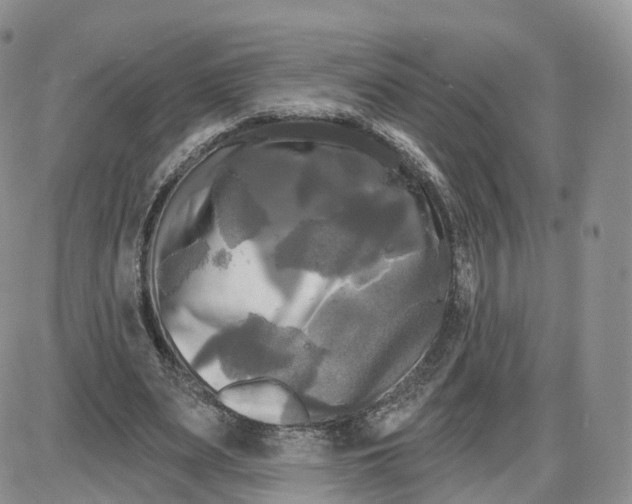 X0000087630487200705241218