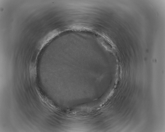 X0000087630488200705241218