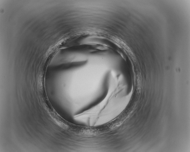 X0000087630489200705241218