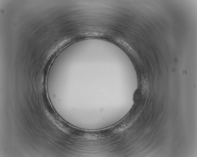 X0000087630490200705241218