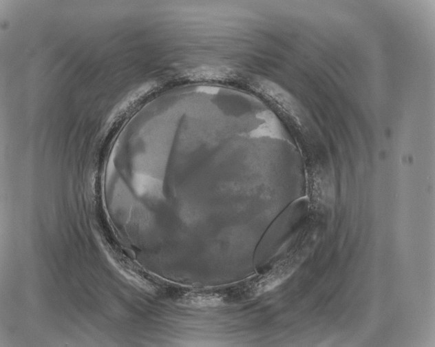 X0000087630491200705241218