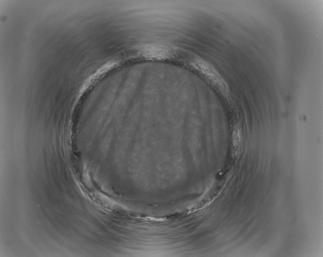 X0000087630492200705241218