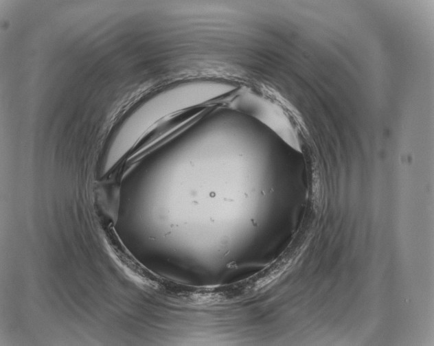 X0000087630493200705241218