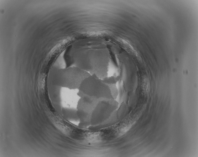 X0000087630495200705241218