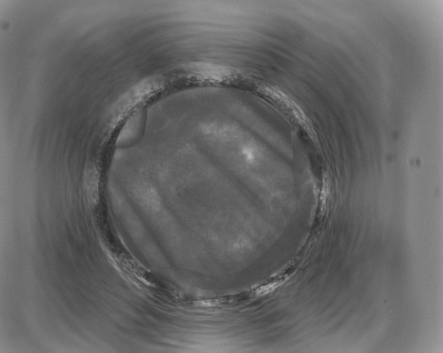 X0000087630496200705241218