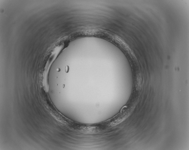 X0000087630497200705241218