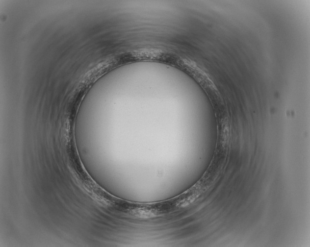 X0000087630498200705241218