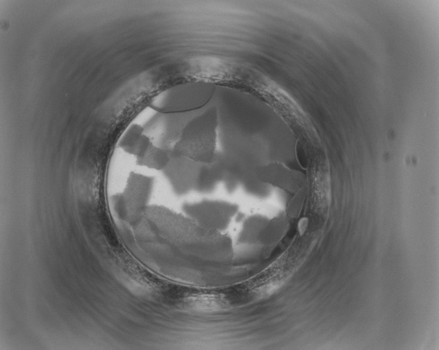 X0000087630499200705241218