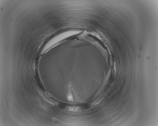 X0000087630500200705241218