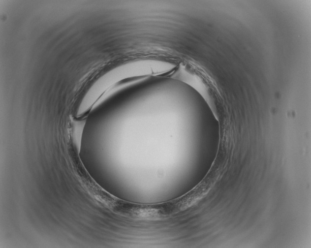 X0000087630501200705241218